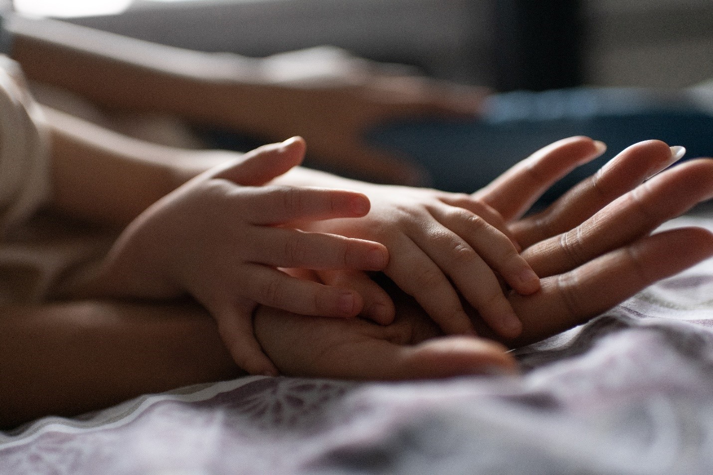 an infant and adult holding hands